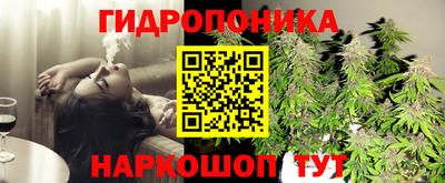 стаф Кандалакша