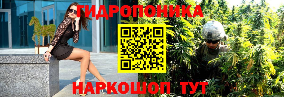 Бошки марихуана OG Kush Коммунар